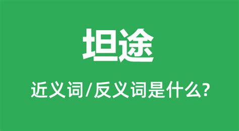 坦途意思|坦途 的意思、解釋、用法、例句